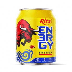 250ml Short Can Best Energy Drink Rita Brand