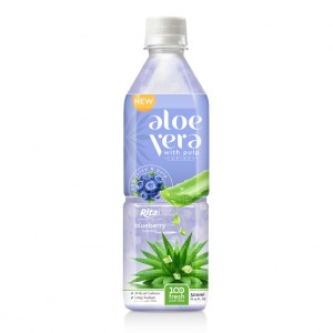 Aloe Vera With Blueberry Flavor 500ml Pet Bottle