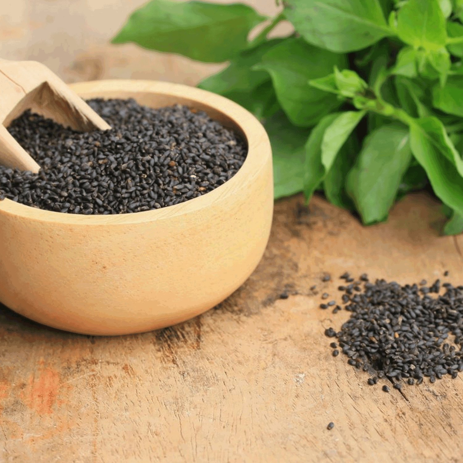 BASIL SEED 9 BENEFITS YOU NEED TO KNOW RITA Beverage