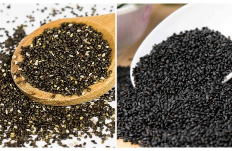 BASIL SEED 9 BENEFITS YOU NEED TO KNOW RITA Beverage