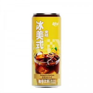 315ml Sleek Can Iced Americano Coffee Drink With Kumquat