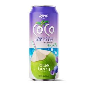 CocoPulp500mlcan_Blueberry