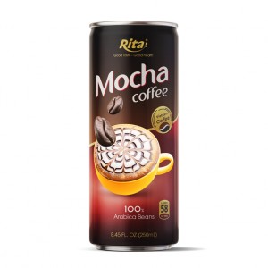 Mocha_Coffee_250ml_Can