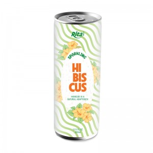 Sparkling_Hibiscus_drink_250ml